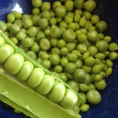 Peas